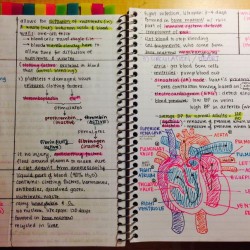study_notes